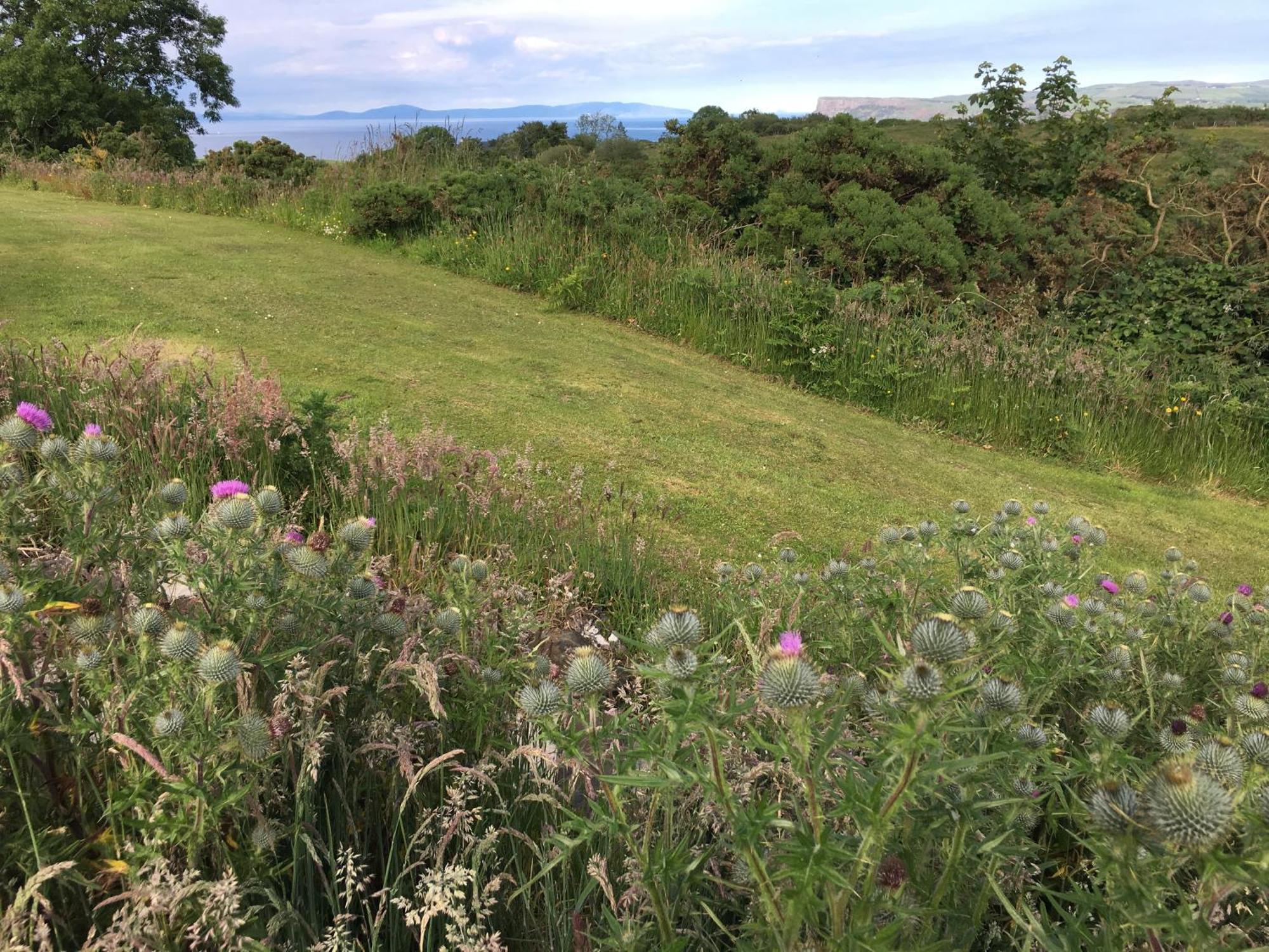 Causeway Coast Country Cottage, Pet-Friendly Баликасъл Екстериор снимка